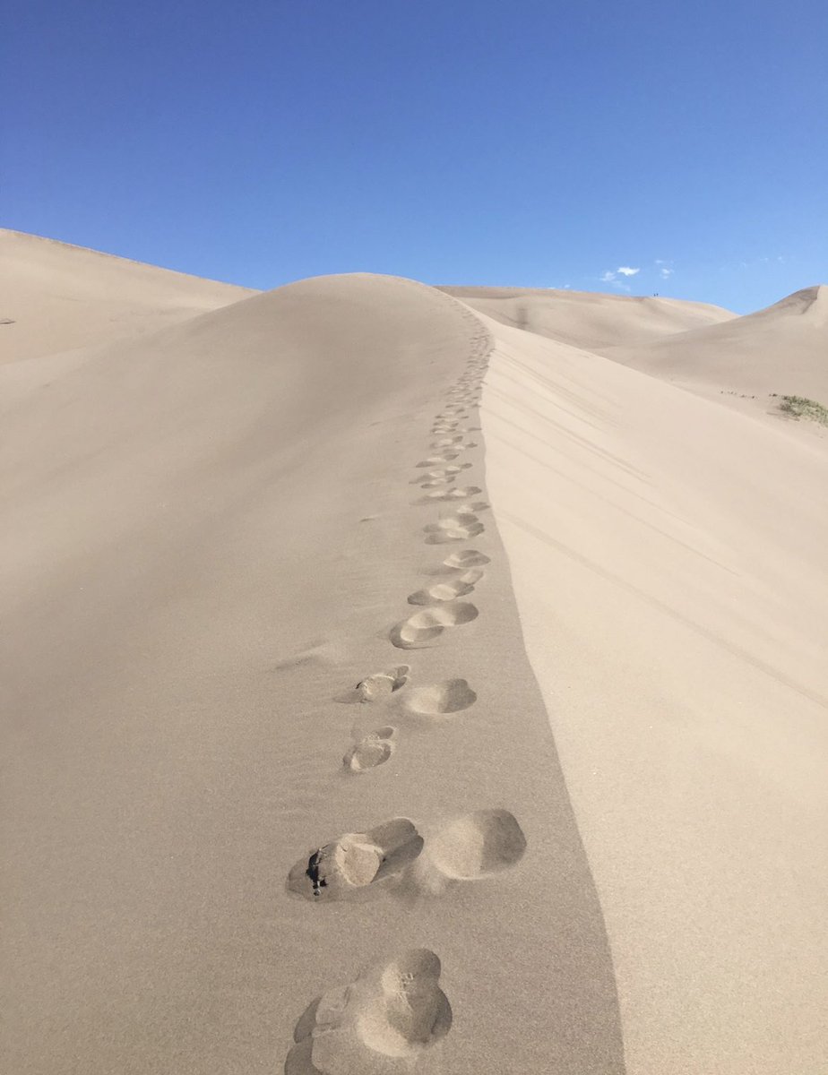 RoadTrippinMark's tweet photo. Great Sand Dunes National Park, Colorado #greatsandunesnationalpark #desert #Colorado #greatsanddunesnationalpark #sand #sanddunes #travel #hiking #hikingadventures #hike #footsteps #boundless #infinite #explore #markloftin #roadtrippinmark https://t.co/wWjRLdgs5A