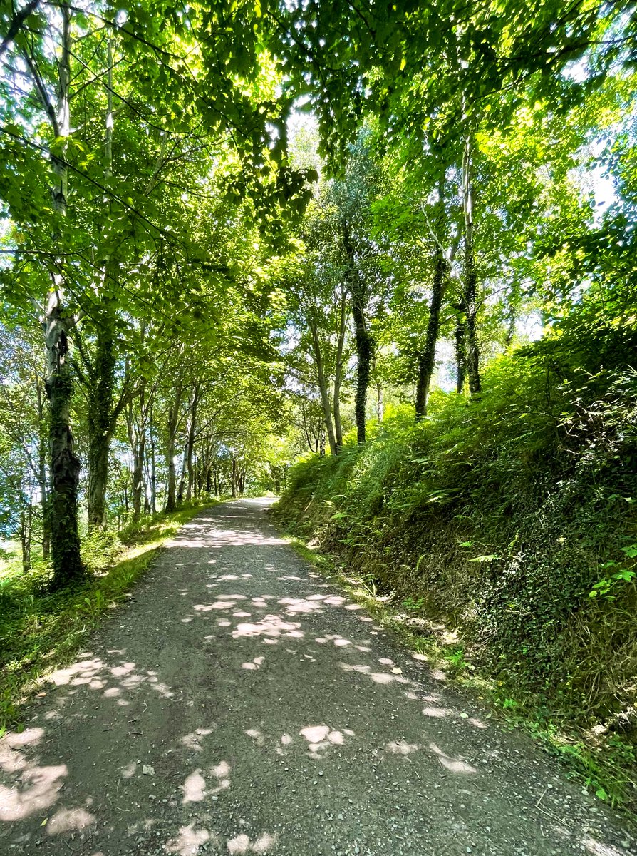 BunFaceKilla's tweet photo. come join me for a brief hike through Zumaia https://t.co/WT1Zi6wET0