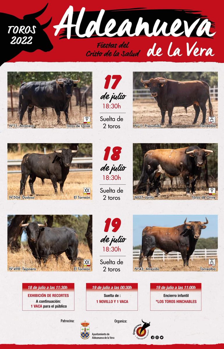 DIEGOALCALDE1's tweet photo. Vuelve el toro-toro a la vera. Aldeanueva De La Vera vuelve a tener sus festejos populares de la mano de @organyvent . Visitalo y que no te lo cuenten. 
Festejo popular en la vera.
@TorosTorrealba #TorosDeOrive #ElTorreon
#plazasconencanto #LaVera https://t.co/G1Sk6bv7JF