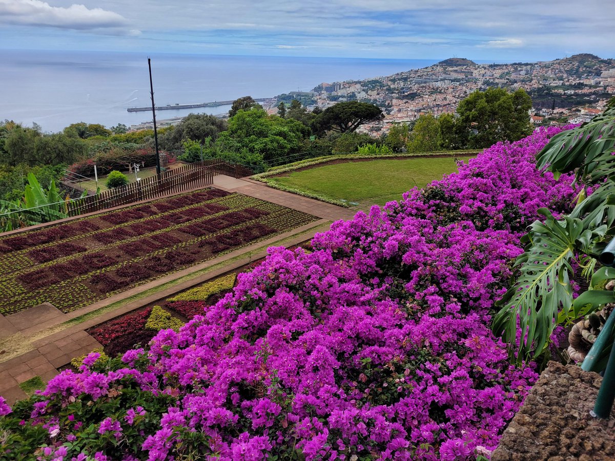 kiOtakai's tweet photo. .@Madeira It definitely wasn't enough time, so I only got to see a glimpse of what the island has to offer, but this makes me definitely want to comeback. And even when I've seen all, I most likely want to see it more than once 😁 
Till then 👋 https://t.co/yjMabT6kYl