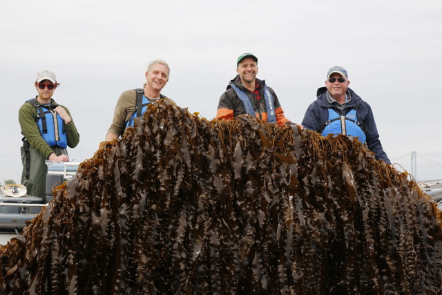 GreenWaveOrg's tweet photo. “Boy, what a nice experience. I had a strange feeling that day and it didn’t click until I got in my car. I trained Bren, Bren and GreenWave trained Mike Doall, Mike trained Tim Curtain–four generations of ocean farmers.” -- Dr. Charlie Yarish

📸 : Virna Wong (@maritimecollege) https://t.co/tr4hyD5flV