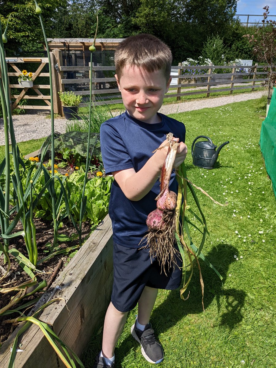 The Bee Team tweet media