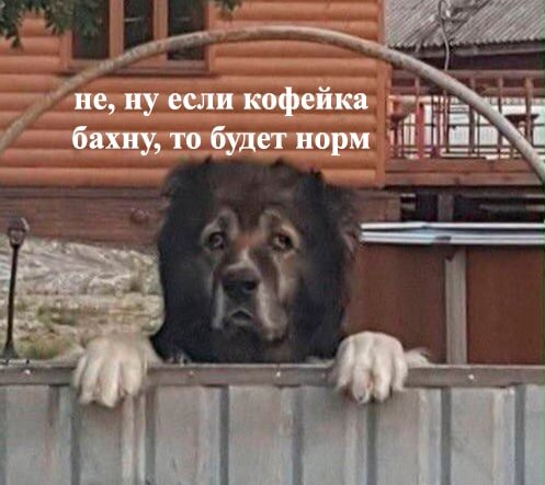RussianMemesLtd's tweet photo. well, if I drink some coffee it will be ok https://t.co/J8GDv5nlSC