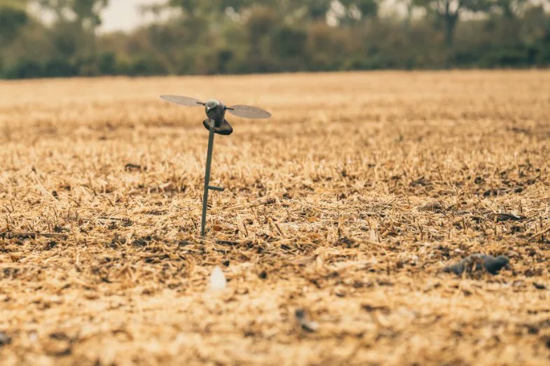 PacoRiestra's tweet photo. A pigeon field with a few decoys

If your accuracy is decent enough, you will help mine the ground with real decoys...

#mixedbag #pigeon #pigeonhunting
#birdhunting #wingshooting 

@SafariClubIntl @CCA_Texas

The Place Santiago del Estero Lodge
The Outfitter @PacoRiestra https://t.co/GR6fCUUOD4