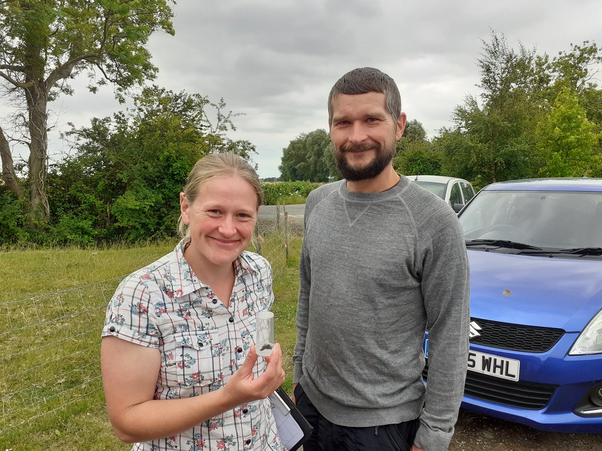 BuzzingSouthEast tweet media