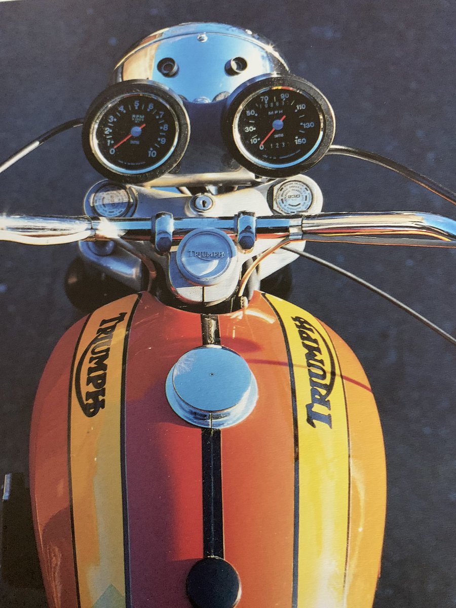 RShrubb's tweet photo. Motorcycling = travelling at speed with  a tank of flammable liquid in a tank between your legs on a vehicle that can fall over. You’d be crazy not to do it 😎😂🏍 https://t.co/YNYMB65kLD