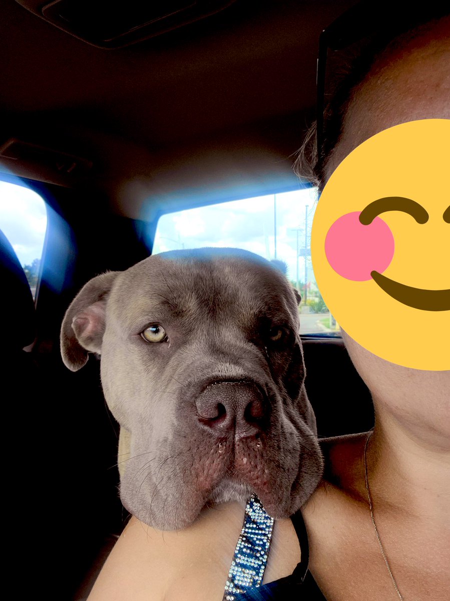 ♥️Carolyn & Family #StandWithUkraine🌻♥️🌻 tweet media