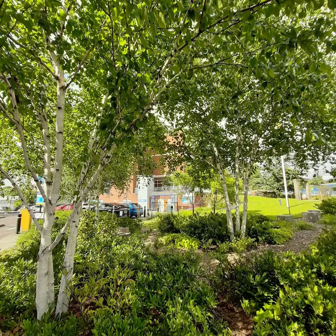 FullCircle_Fund's tweet photo. Fab to see many new faces for our 2nd Wellbeing Walk @StGeorgesTrust ☀️
What better way to re-charge than being near nature? 🌱☀️
#WellbeingWalk #dailydose
#beingwell #spendtimeinnature #NHS #Wellbeingmatters #goodtotalk #goodtowalk #whenitmattersmost #YouCareWeCare #LapAndAYap https://t.co/mgcAVzzE0j