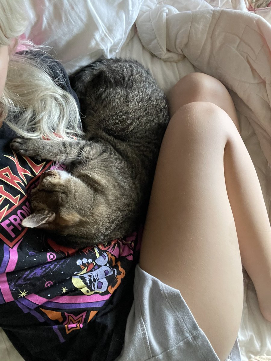 meowthdestroyer's tweet photo. plus getting birthday cuddle from kitty ruby https://t.co/Q8IgNjv5bt