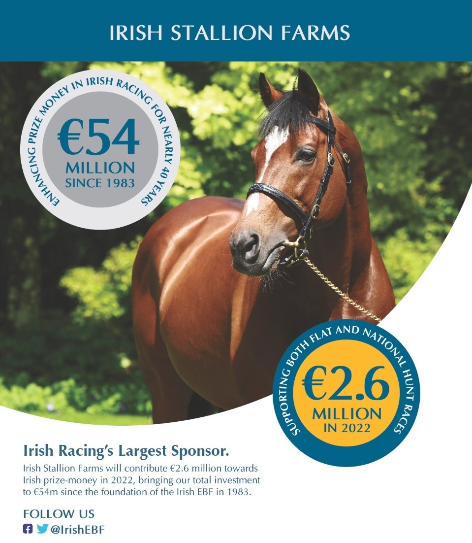Irish Stallion Farms tweet media
