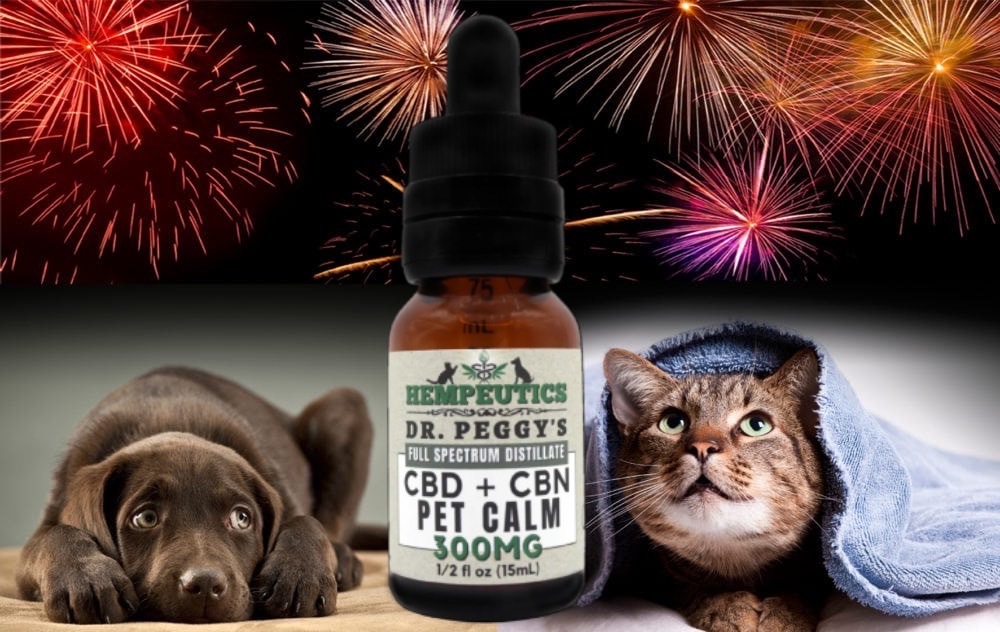 Hempeutics's tweet photo. Was your pet anxious during fireworks? Try our calming CBD oil safe for pets! https://t.co/FCmz37YgWW