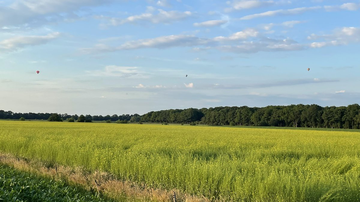 JTGE24's tweet photo. @DalfsenNet Voor de liefhebber: hier nog een foto van een week eerder. Mooie gele mosterdbloesem. #hessum https://t.co/H7g0vrwanx