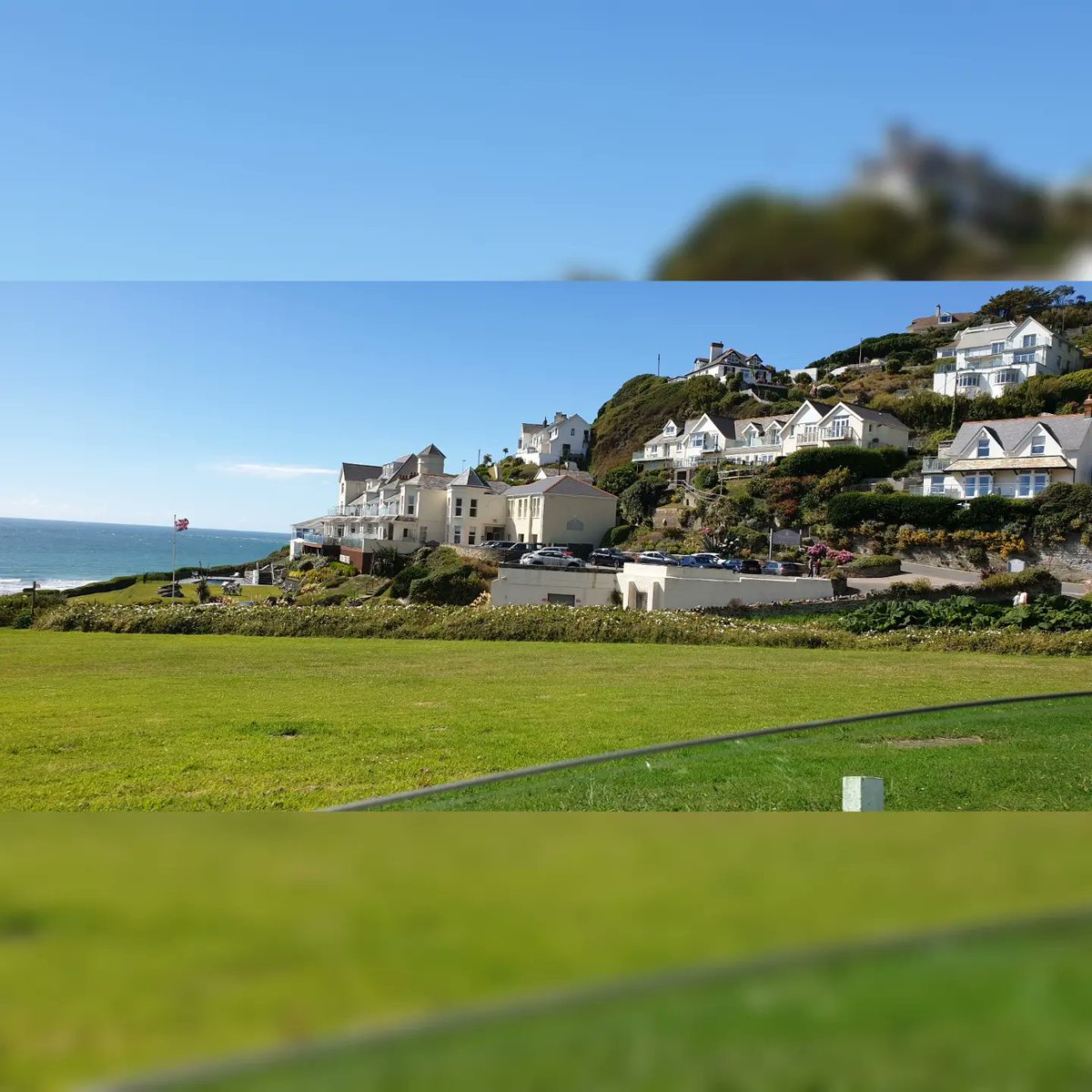 carleyadele's tweet image. 