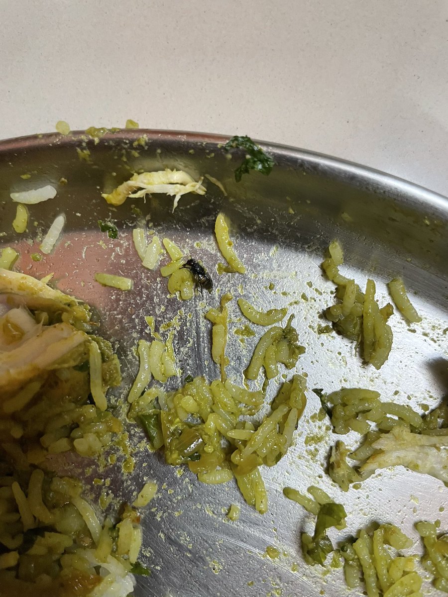 amarjeetkr's tweet photo. @zomato Stop onboarding just any restaurants and playing with people who trust you. This restaurant “Malwan Tadka” is badly compromising the quality of food. We had very bad experience today, found bees in our food (screenshots attached) https://t.co/bHFMzmd7Sc
