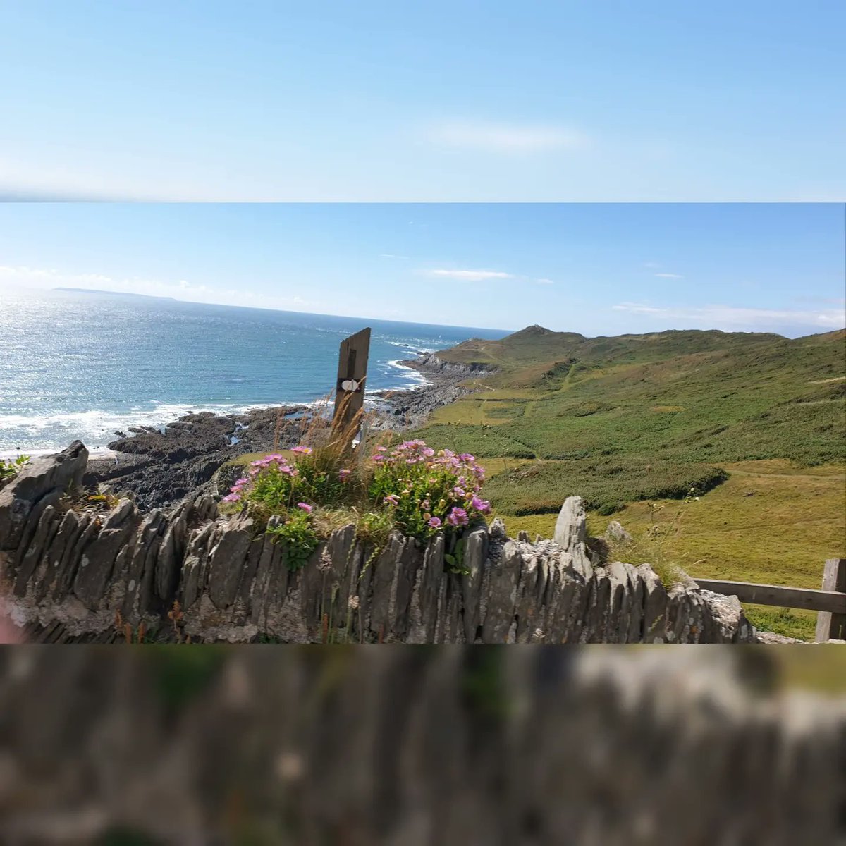 carleyadele's tweet image. 