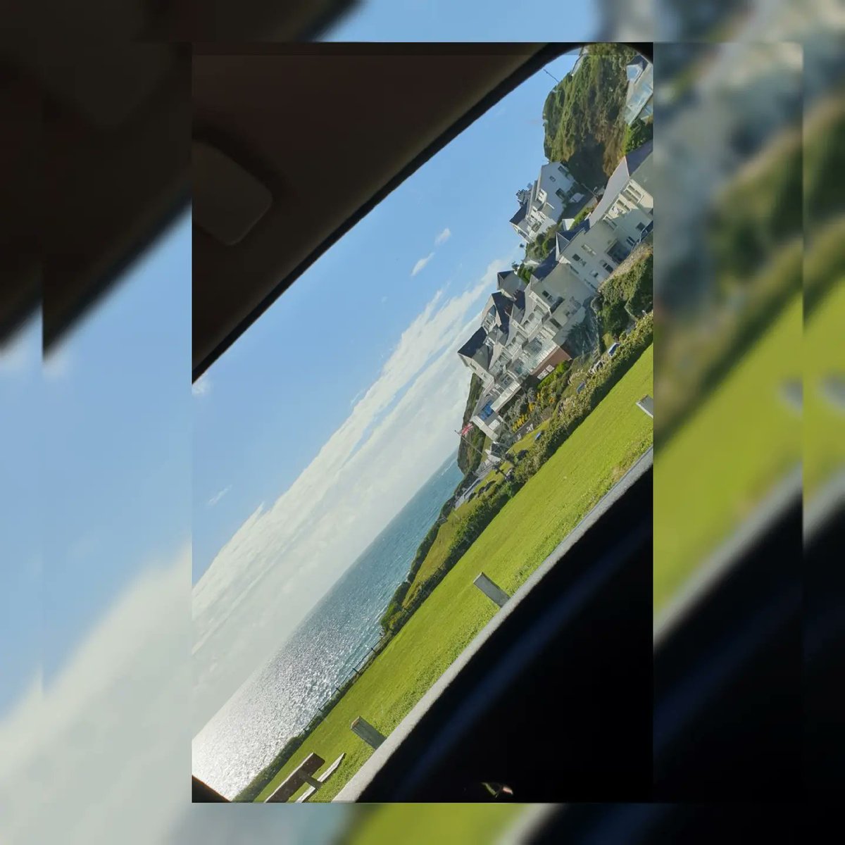 carleyadele's tweet image. 