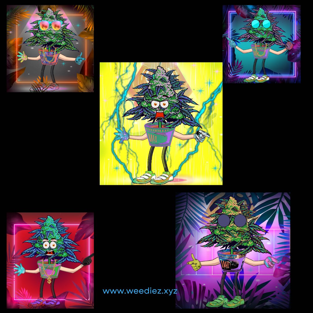 Orbona || NFTCollection || NFT tweet media