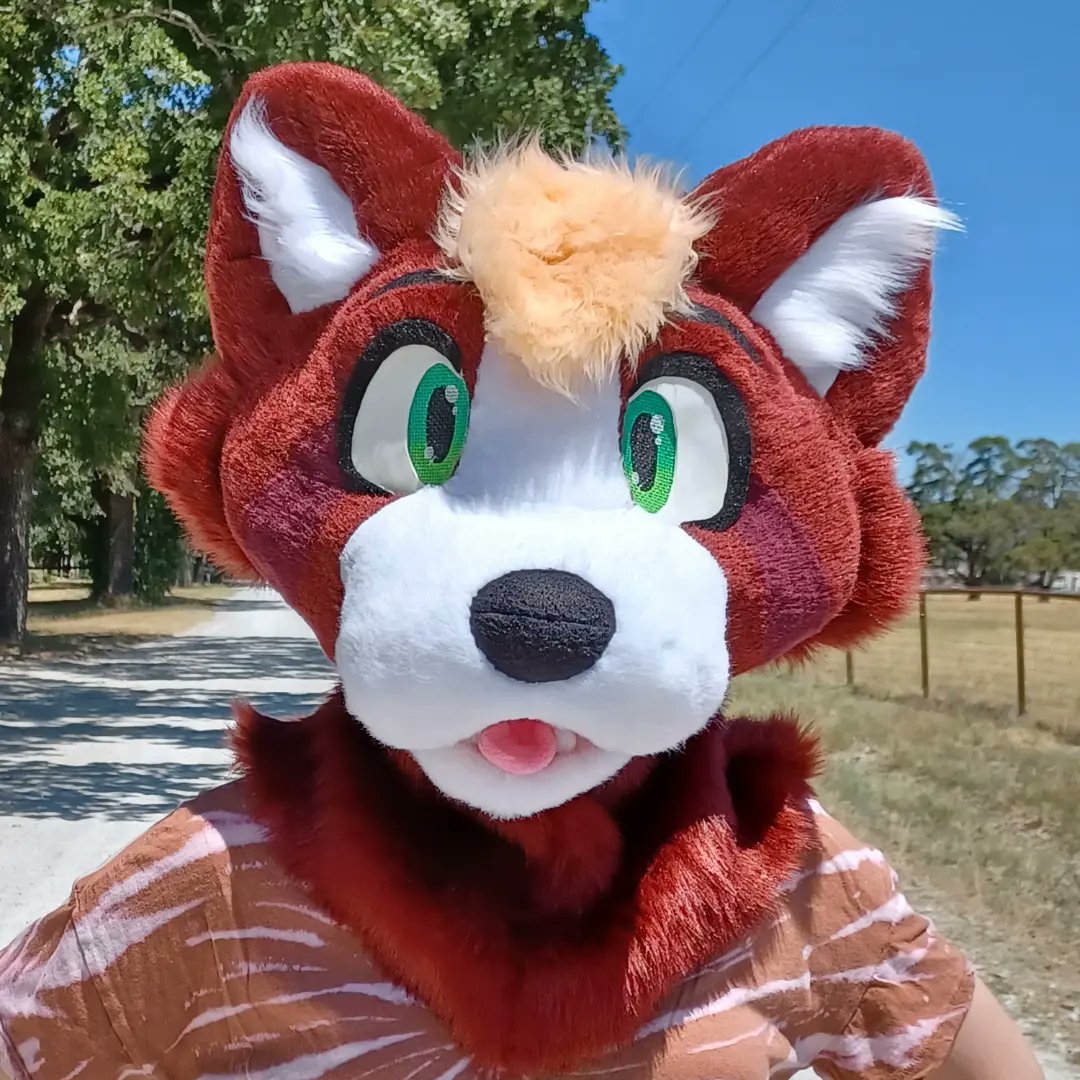 Fuzz_Sunday's tweet photo. Welcoming Java into the TideNSam fam! This beautiful boi was made for @caffeinewah ! https://t.co/8TmZtIh9gW