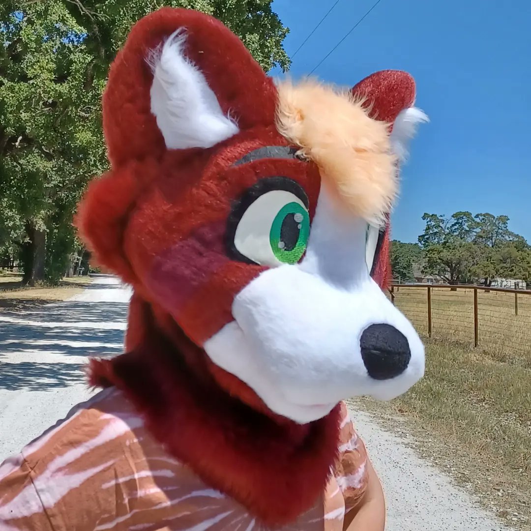 Fuzz_Sunday's tweet photo. Welcoming Java into the TideNSam fam! This beautiful boi was made for @caffeinewah ! https://t.co/8TmZtIh9gW