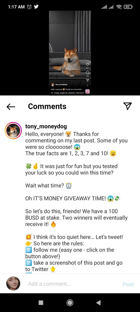 Reign_cel021459's tweet photo. Join here guys! #TonyMoneydogCryptoGiveaway https://t.co/gQETbpWCxn