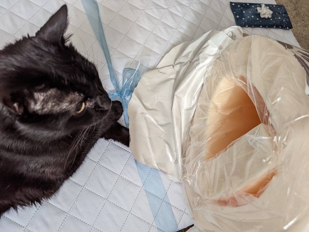 theBlkCat's tweet photo. My present from Auntie Janet, what could this be for? https://t.co/XgCschQoYD