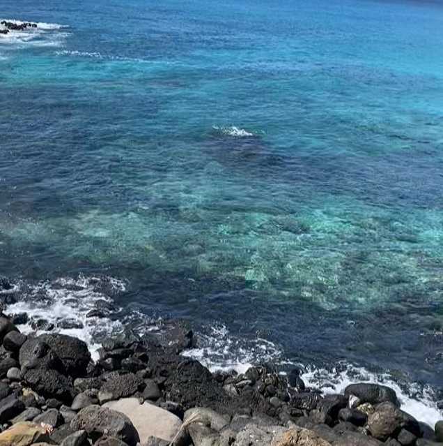 tewzoads_'s tweet image. 治安のことは置いといて
島の西側が好き🥰

#westcoastisthebestcoast #westsideoahu 
#lovebeachlife🌴☀️❤️🌊 
#グラデーション