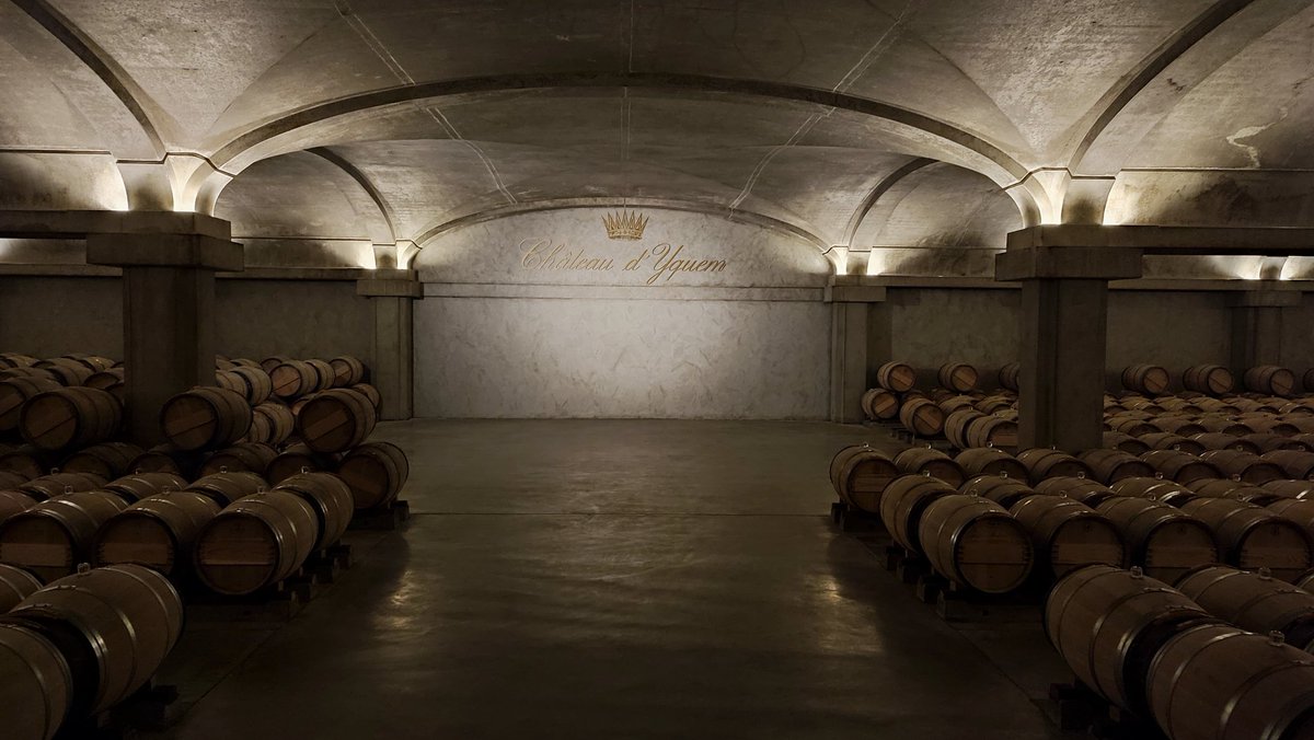 Margot_MJBerger's tweet photo. Surprise field trip n°2 in Sauternes, visiting the amazing Château d'Yquem 🇨🇵🍷😍 @UMREGFV #terclim2022 #chateaudyquem #egfv #isvv https://t.co/jSatxmuMxM