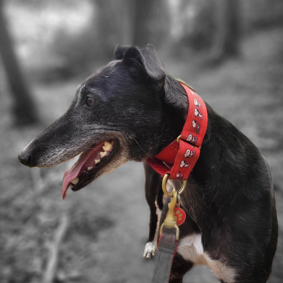 The Rose Pub & Deli tweet media