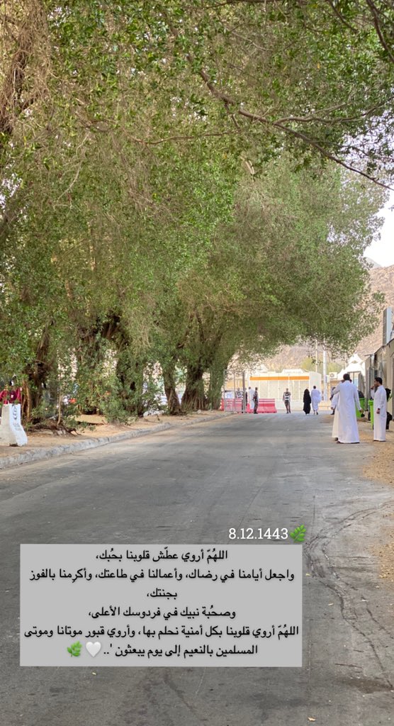 Pink_tulip2's tweet photo. #يوم_الترويه https://t.co/BExVUcxDld