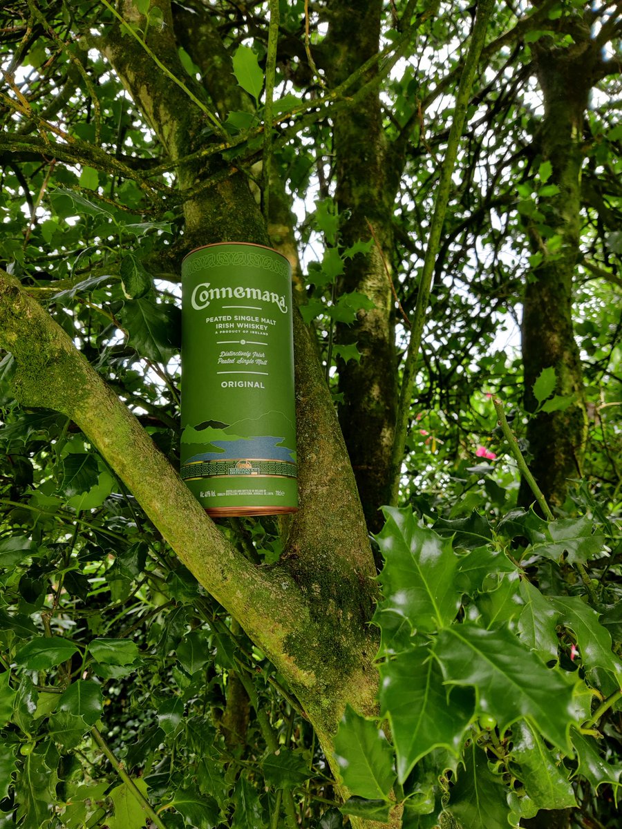 WhiskeyFrance's tweet photo. New bottle! 🥃
My first Irish whiskey 🍀🇮🇪 
#Whiskey #Connemara #Whisky #IrishWhiskey #SingleMalt #Ireland #Peat #PeatedWhiskey #CooleyDistillery https://t.co/NYY7d2i9CW