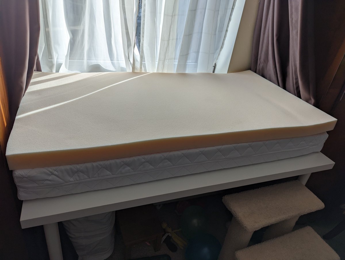 theBlkCat's tweet photo. Ohhh it's a new bed with a memory foam topper! https://t.co/Bfi5VZmnSg
