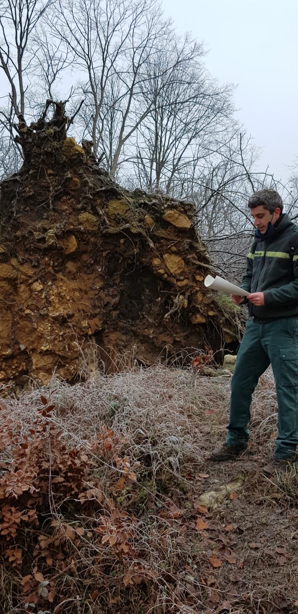 sauvonsforet60's tweet photo. Depuis plus de 2 ans, le collectif 
@sauvonsforet60 est associé avec des organisations forestières comme @ONF_Officiel pour pouvoir échanger avec pédagogie sur les sujets d’une forêt pour tous et pérenne🌳🌲👏🏻

#pédagogie #foret #sujets #échange #apprendre #comprendre #developper https://t.co/56xYXI5mIm