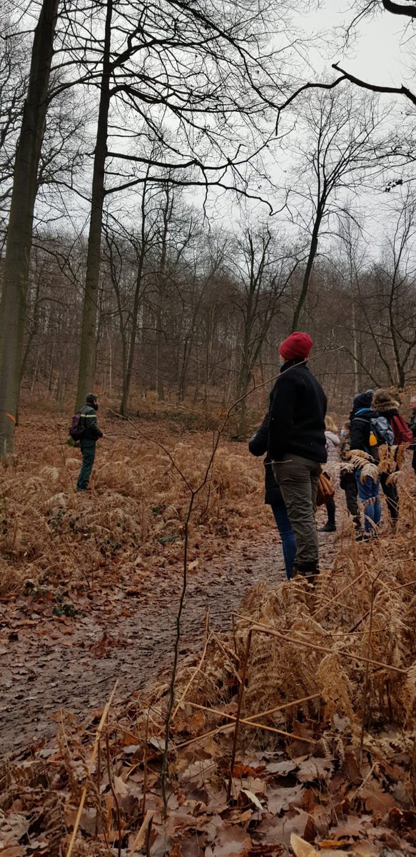 sauvonsforet60's tweet photo. Depuis plus de 2 ans, le collectif 
@sauvonsforet60 est associé avec des organisations forestières comme @ONF_Officiel pour pouvoir échanger avec pédagogie sur les sujets d’une forêt pour tous et pérenne🌳🌲👏🏻

#pédagogie #foret #sujets #échange #apprendre #comprendre #developper https://t.co/56xYXI5mIm