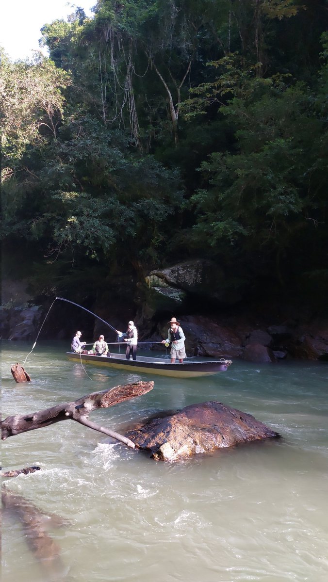 lapescalatina's tweet photo. Apoyo la pesca deportiva pues llega a lugares lejanos, creando empleos de calidad. Promueve la protección de la fauna y la flora. El pescador deportivo es amante de la naturaleza y un gran protector. #pescadeportivacolombia #corteconstitucional #yoapoyolapescadeportiva https://t.co/V5a0KOUKGi