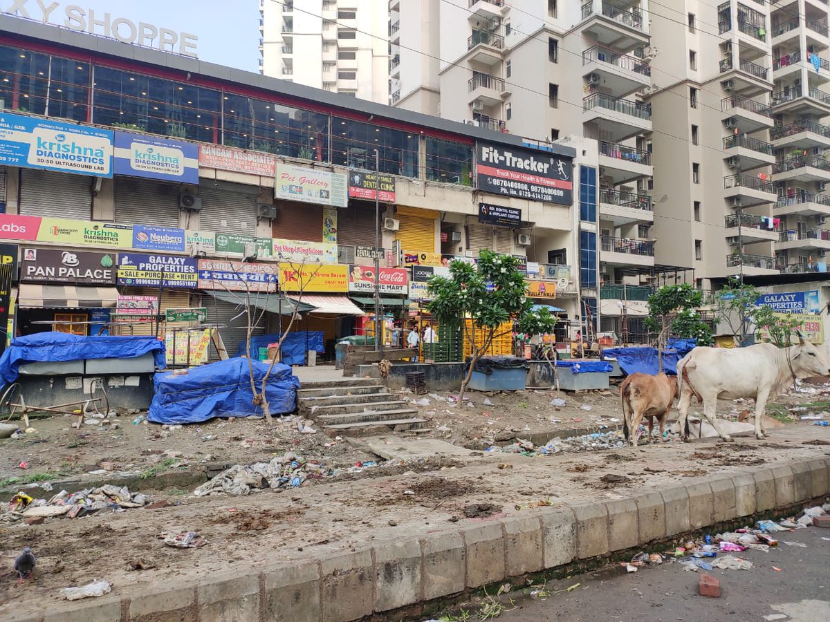 Area near Galaxy shoppe market Gaur City 2 on main road is becoming garbage field attracting animals and mosquito breeding field during rainy season. Requesting to concern Authorities to please look into this matter on priority.
<a href="/OfficialGNIDA/">Greater Noida Industrial Development Authority</a> 
<a href="/nefowaoffice/">NEFOWA</a>