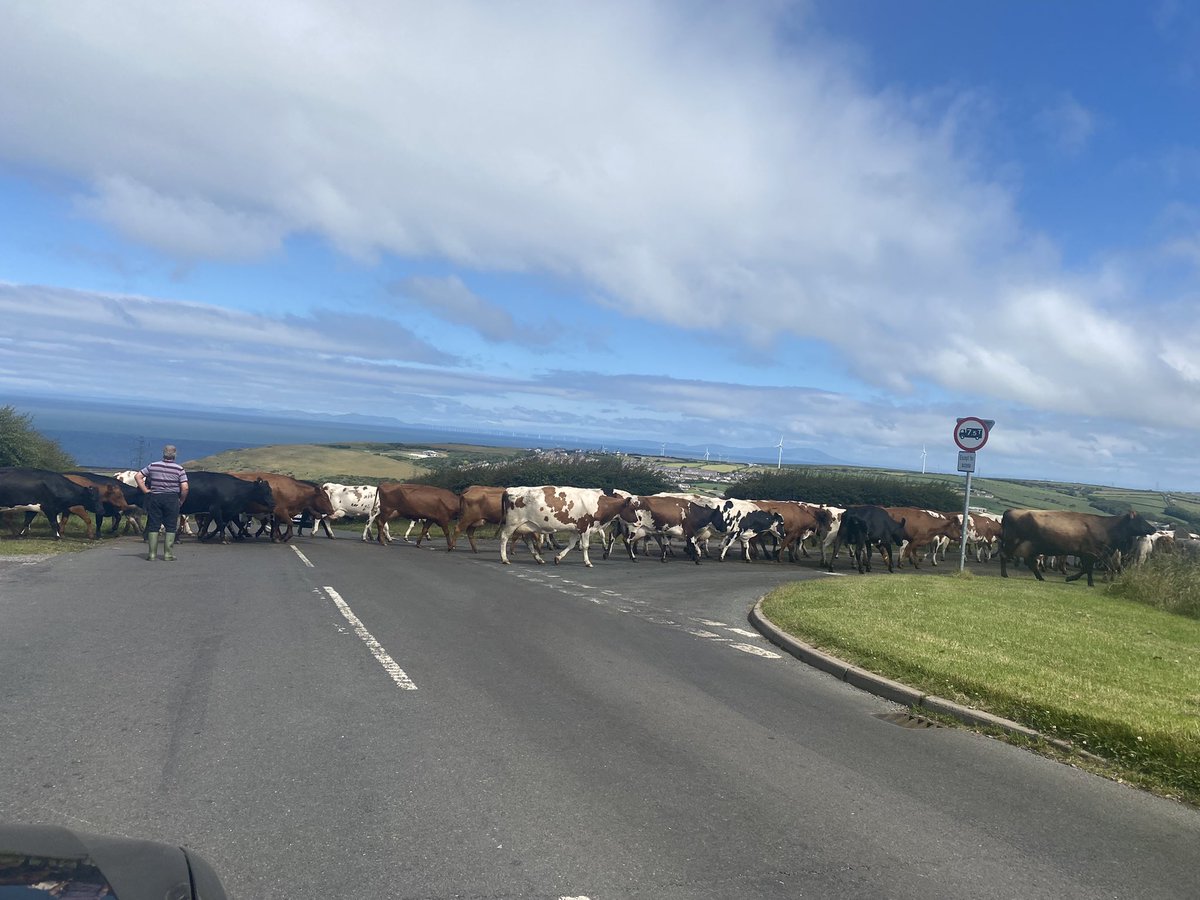 Andrew Misra tweet media