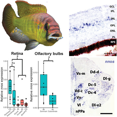 Maruska Lab tweet media