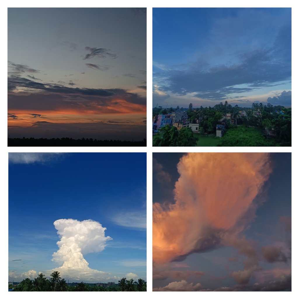 This week's sunsets 🥹💙!
