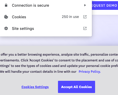 Why even bother to ask for consent if you are setting 250 cookies on the initial page load?
