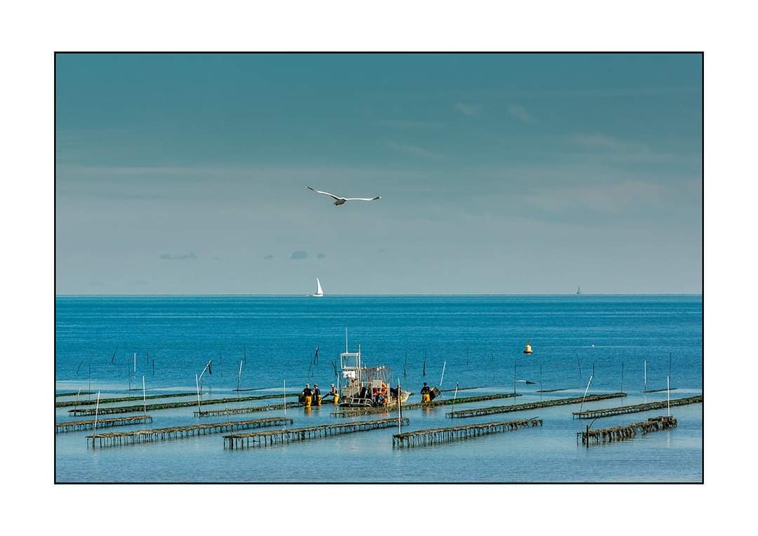 george_fisk's tweet photo. Racks n things #whitstable #landscape #greatbritishcoast #coast #rack #obstuction #local #summer @WhitstableLive @GoWhitstable https://t.co/MQfaqlwhM3