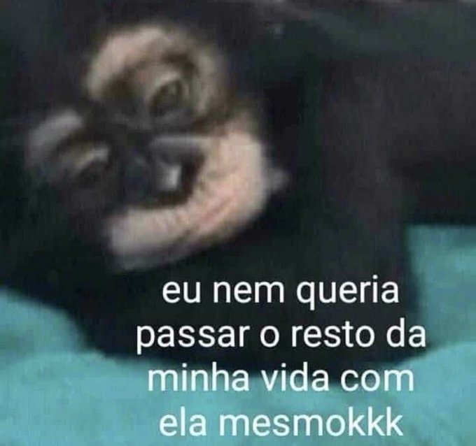 Frases aleatórias em baixa qualidade (@fraseslowqualit) on Twitter photo 