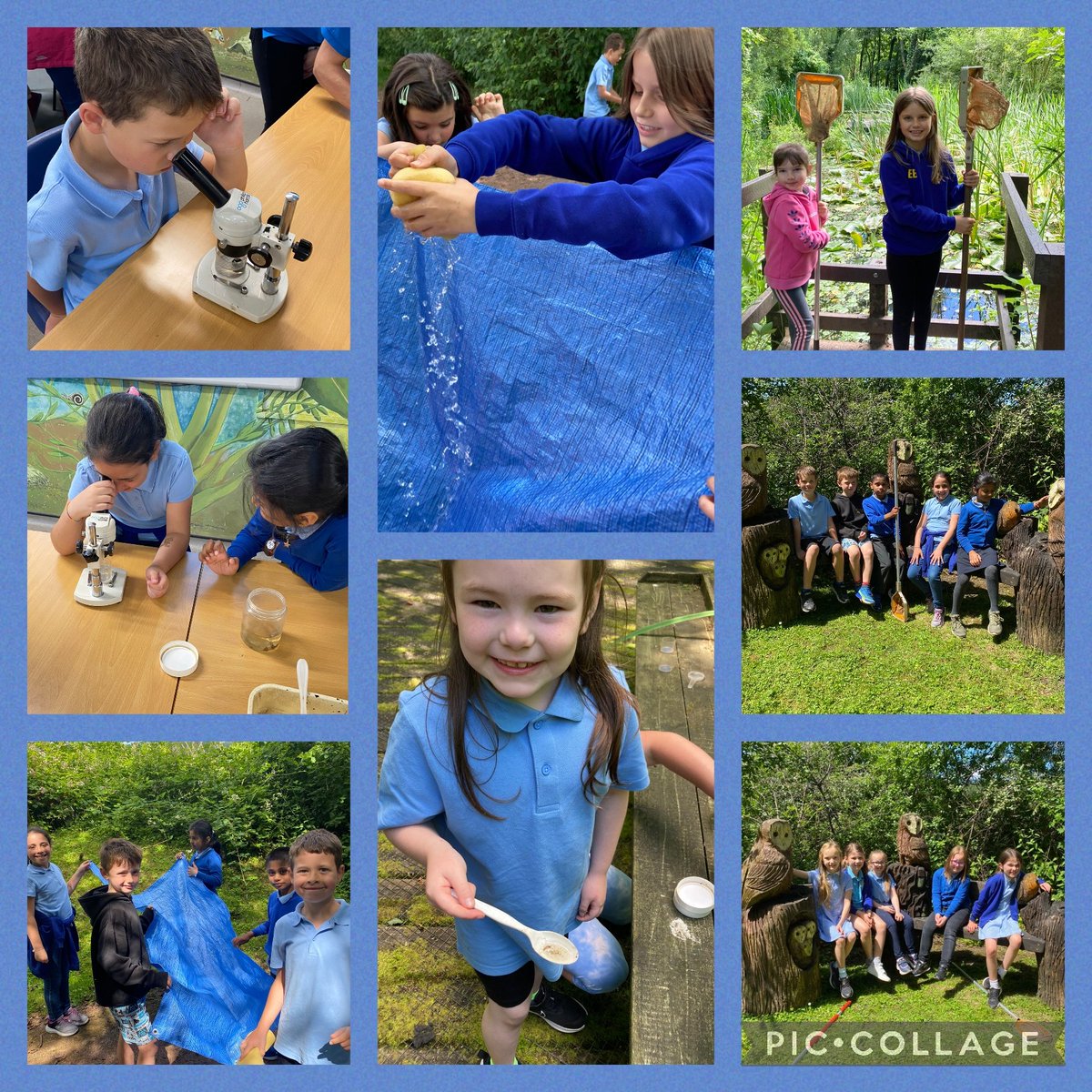 marys_rc's tweet photo. Blwyddyn Tri have enjoyed  a fantastic day at Cilfynydd @DiscoverDwr! Big thanks to Louise for delivering brilliant and engaging water cycle and pond dipping activities!
#Science 
#learningnewterminology
#collaboration
#usingtechnology 
#handsonlearning https://t.co/TUnIThWZXU