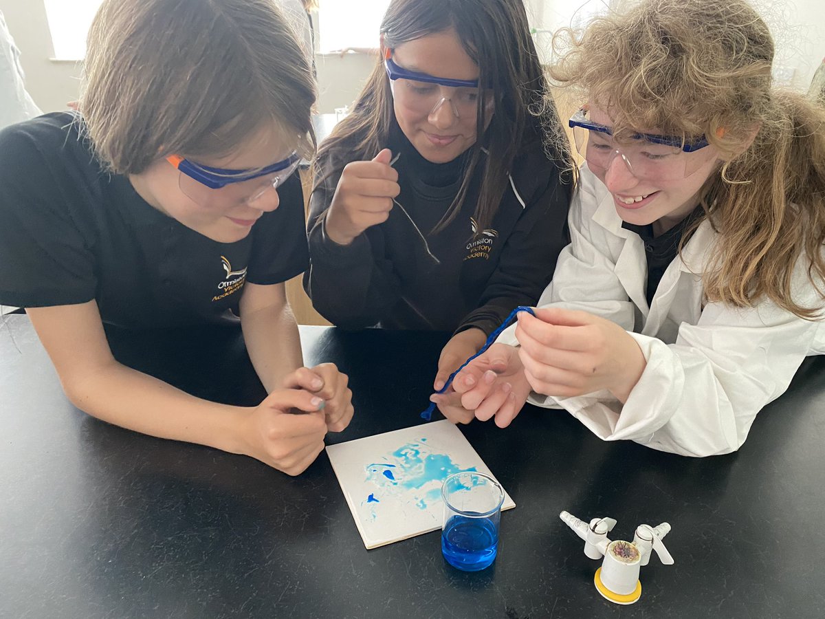 ScienceVictory's tweet photo. Miss Shortens class made calcium alginate worms today! The longest was almost 70cm! Sodium alginate comes from the cell walls in algae, which is where it gets its name 🌱🪴 https://t.co/jcTCqNTkM5