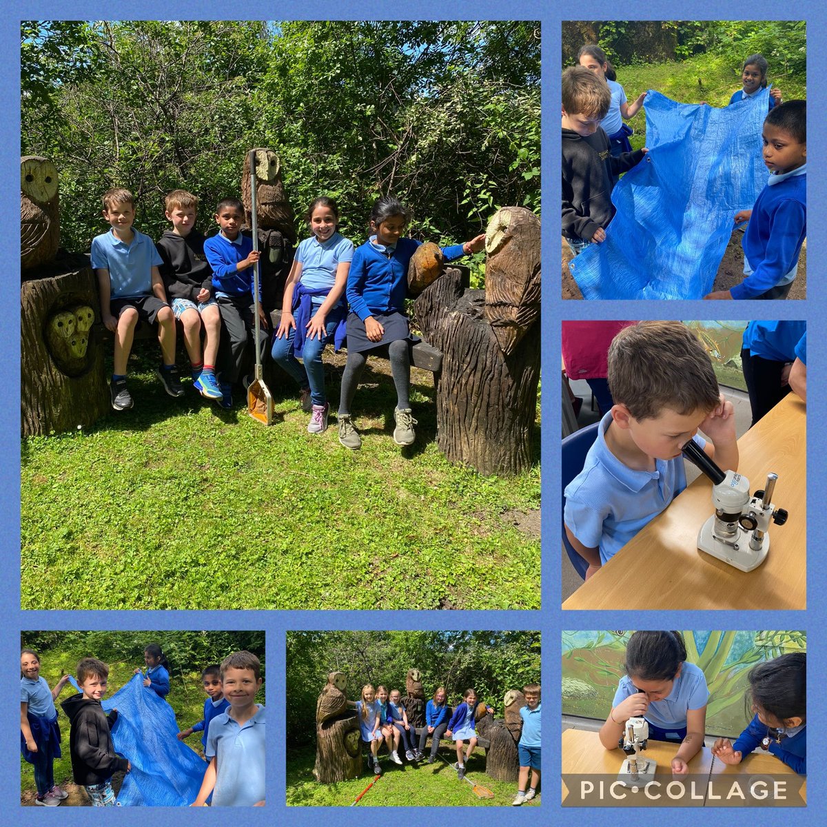 marys_rc's tweet photo. Blwyddyn Tri have enjoyed  a fantastic day at Cilfynydd @DiscoverDwr! Big thanks to Louise for delivering brilliant and engaging water cycle and pond dipping activities!
#Science 
#learningnewterminology
#collaboration
#usingtechnology 
#handsonlearning https://t.co/Eujk5OE2aH