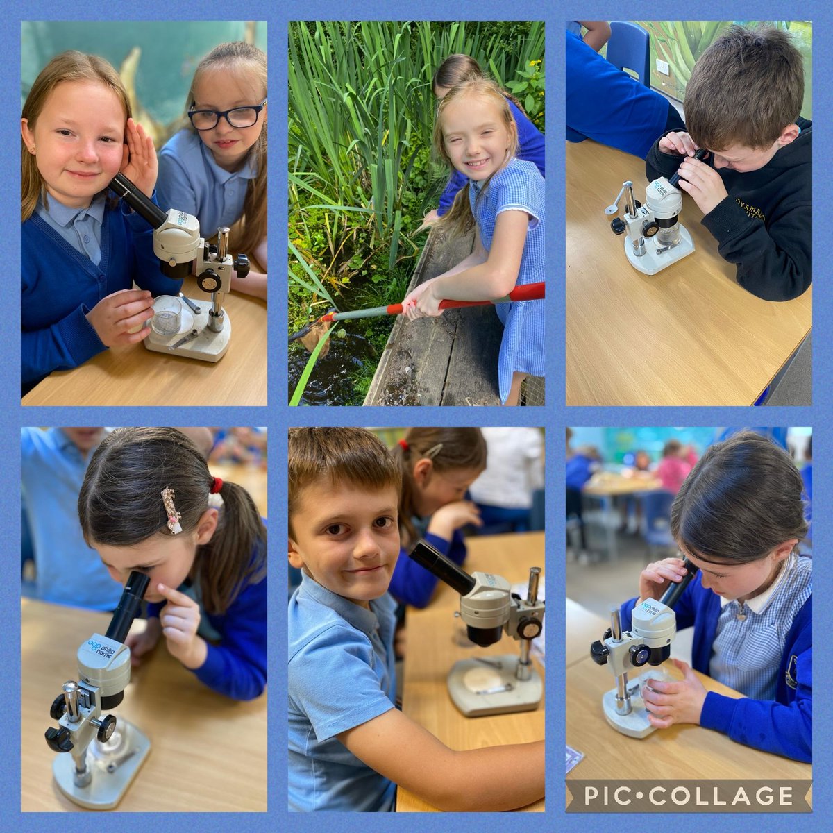 marys_rc's tweet photo. Blwyddyn Tri have enjoyed  a fantastic day at Cilfynydd @DiscoverDwr! Big thanks to Louise for delivering brilliant and engaging water cycle and pond dipping activities!
#Science 
#learningnewterminology
#collaboration
#usingtechnology 
#handsonlearning https://t.co/Eujk5OE2aH