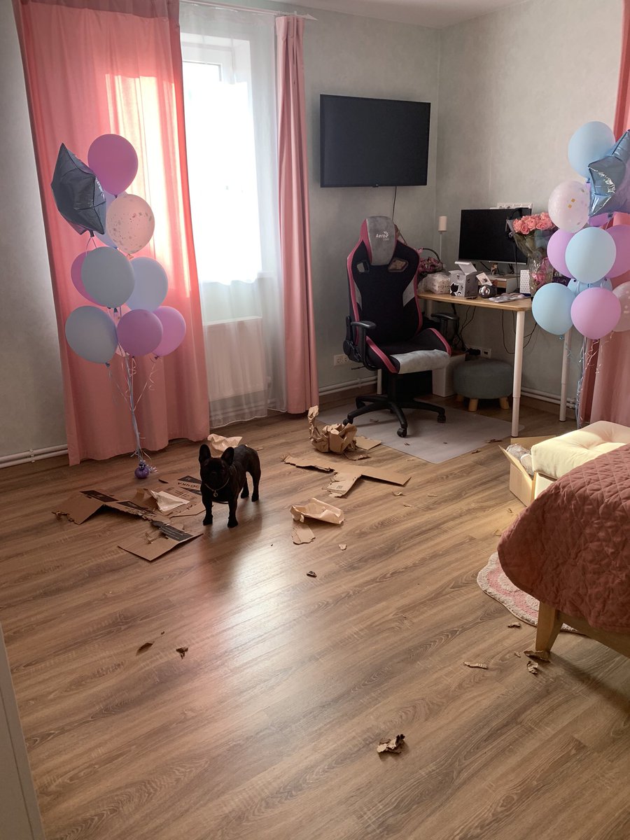utochkaa's tweet photo. А ещё Луна умница-девочка, помогла мне открыть все коробочки, и вообще она дурашка❣️ https://t.co/liMb6eNEtW