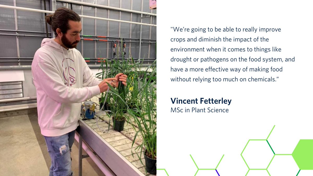 ubcLFS's tweet photo. Vincent Fetterley (@VFetterley), an MSc student in Plant Science at #ubcLFS, currently works in the @CpgUbc on the genetics of stripe rust resistance in spelt wheat, which could improve crops' resistance and reduce environmental impact. 

Read more: https://t.co/X6hTOpxWL9 https://t.co/sPOIBkd1AB