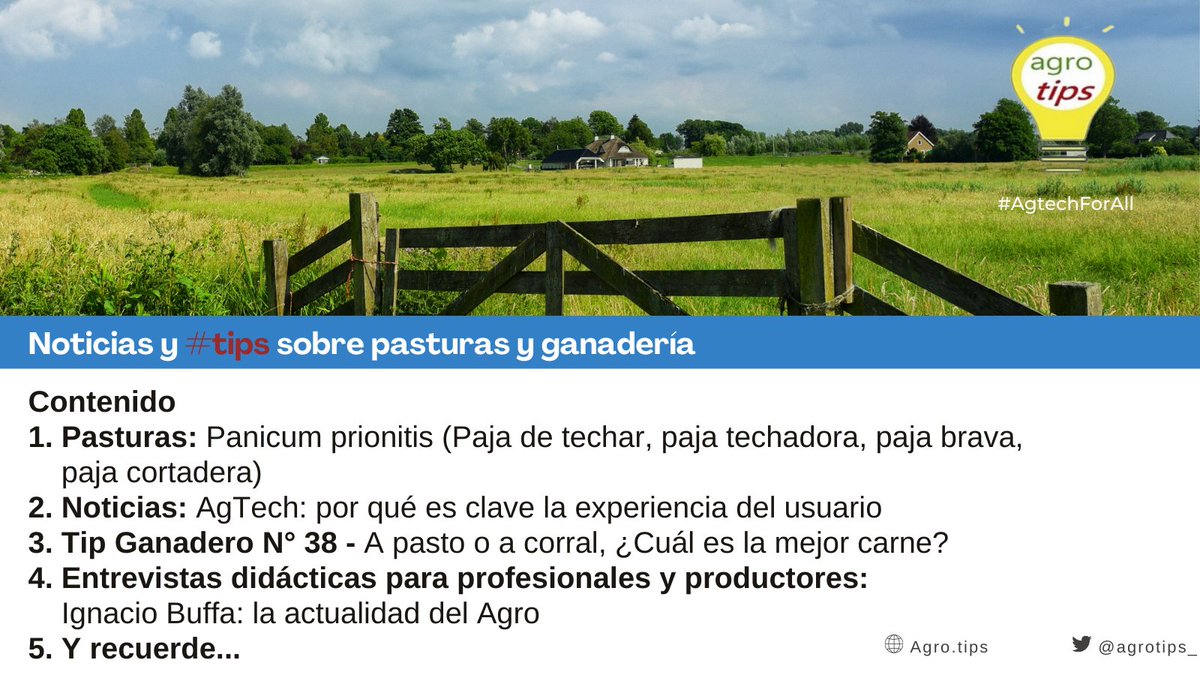 agrotips_'s tweet photo. AgroTips Newsletter N° 38
https://t.co/ne31legpyz
#AgTechForAll  #AgTech #AgriculturaDePrecisión #GanaderíaDePrecisión https://t.co/ryoxAiypEm