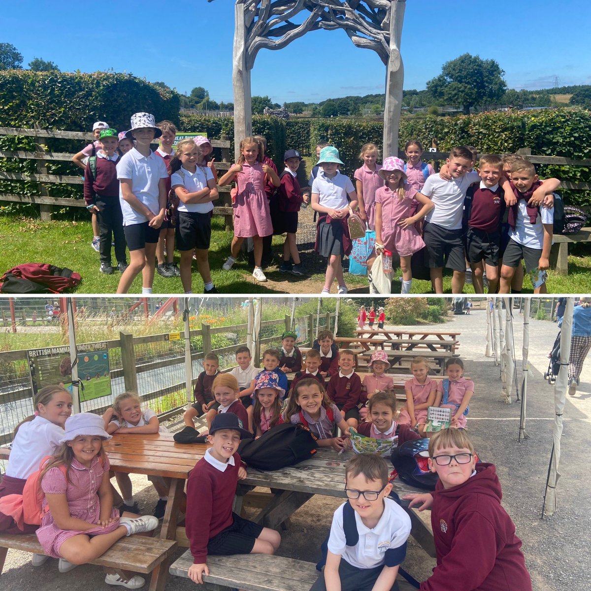 ysgolbroallta's tweet photo. Am ddiwrnod hyfryd yn ymweld â Sw Arch Noa. Mwynheuodd #YCastell gweld yr anifeiliaid, fforio’r ddrysfa a chwarae yn y parc! / What a lovely day we had visiting Noah’s Ark Zoo. #YCastell enjoyed seeing different animals, exploring the maze & playing with friends 🐘🦙🦒🦏🦓 https://t.co/gg5IgheVJp