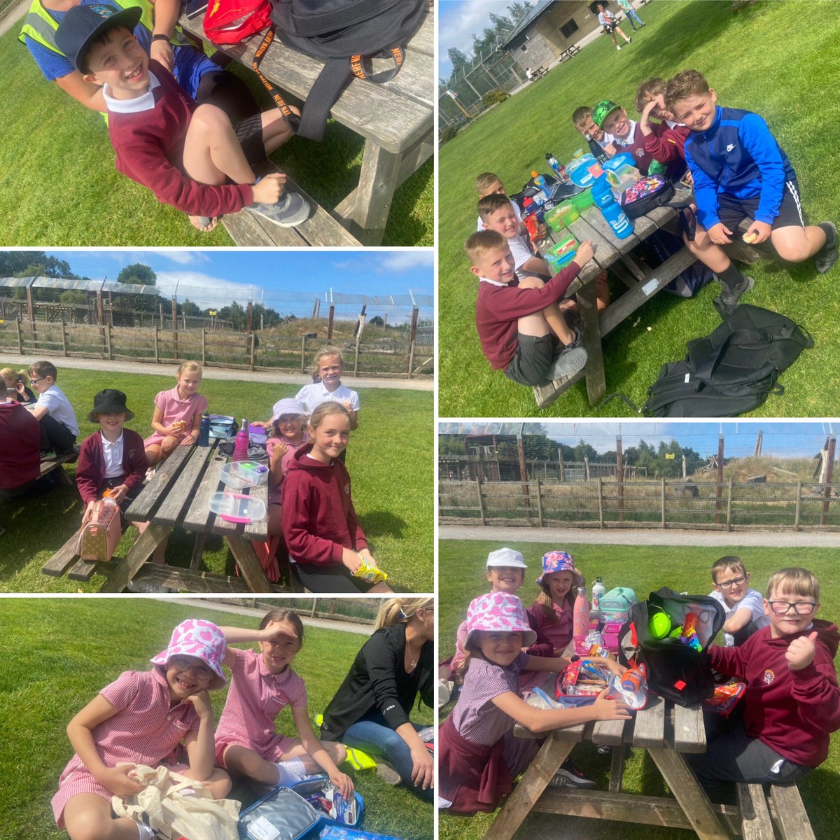 ysgolbroallta's tweet photo. Am ddiwrnod hyfryd yn ymweld â Sw Arch Noa. Mwynheuodd #YCastell gweld yr anifeiliaid, fforio’r ddrysfa a chwarae yn y parc! / What a lovely day we had visiting Noah’s Ark Zoo. #YCastell enjoyed seeing different animals, exploring the maze & playing with friends 🐘🦙🦒🦏🦓 https://t.co/gg5IgheVJp